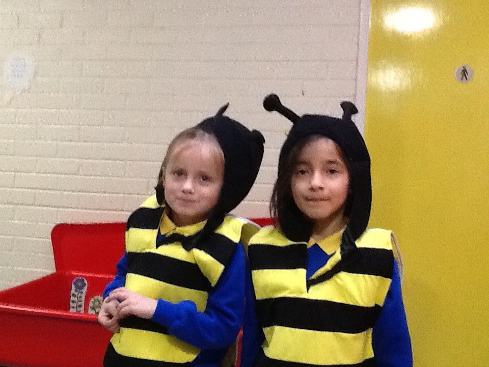 P2 Role Play